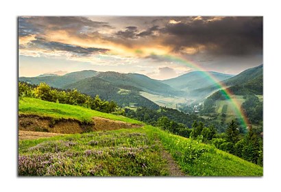 Fototapeta Landscape with rainbow 24815